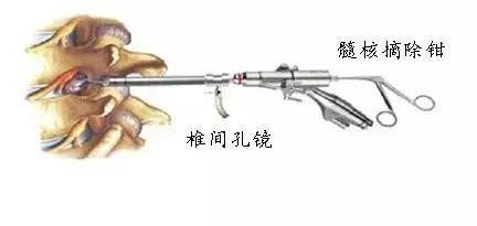 header main image one